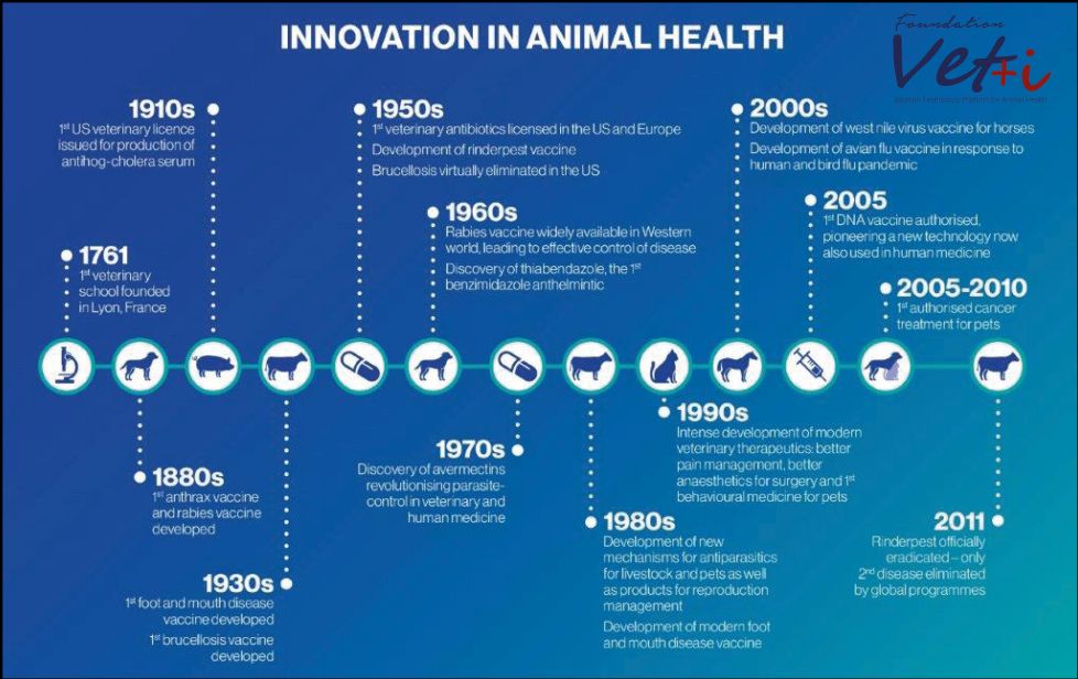 innovacin
