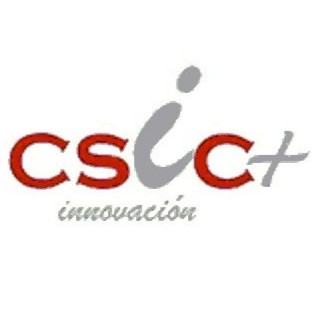 Gestor/a de proyecto relacionado con la innovacin a PYMES