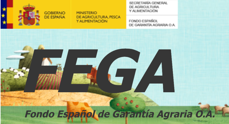 3  becas de formacin para Veterinarios