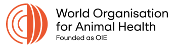 Desarrollador de informe para proyecto en WOAH