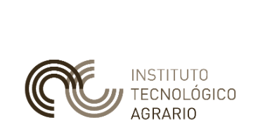 Tcnico/a de proyectos