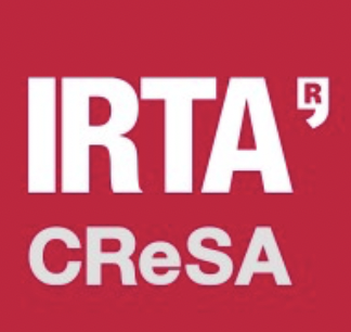 Investigador Postdoctoral