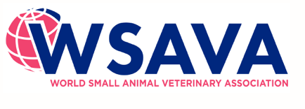 Veterinario especialista en Rabia