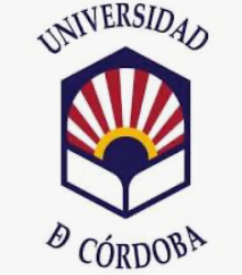 Catedrtico de Universidad