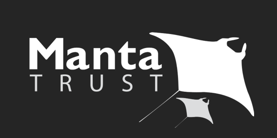 Pr�cticas-Programa conservaci�n de Manta en  Maldivas