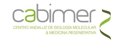 T�cnico/a de gesti�n de proyectos internacionales