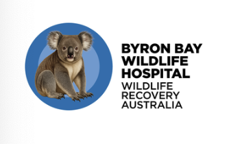 Veterinario especializado en fauna silvestre