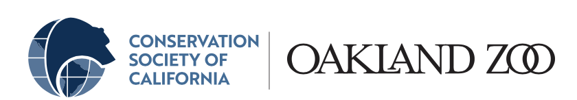 Pr�cticas en zoologico