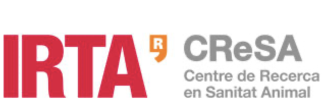 Promotor/a de proyectos de I+D+i