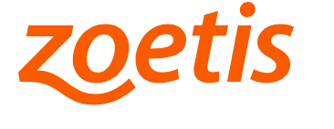 T�cnico/a de Garant�a de Calidad (Quality Assurance)