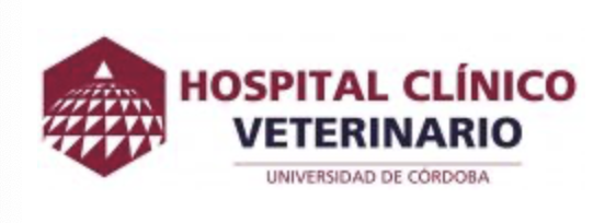 Veterinario/a de Peque�os Animales � Hospitalizaci�n y Urgencias