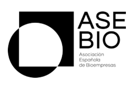 Responsable de I+D+i