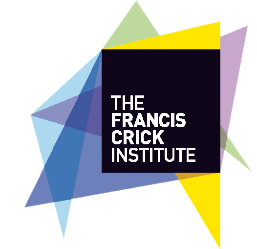 DOCTORAL CLINICAL FELLOWS 2022