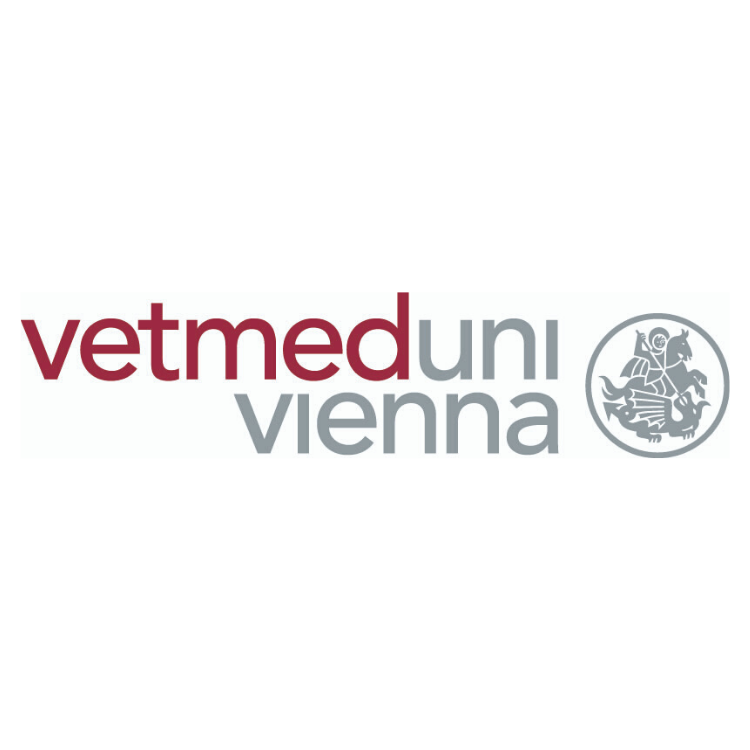 Full Professor for Small Animal Surgery