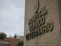 2 becas de Residencia Europea de las reas de Anatoma Patolgica y de Anestesia y Analgesia