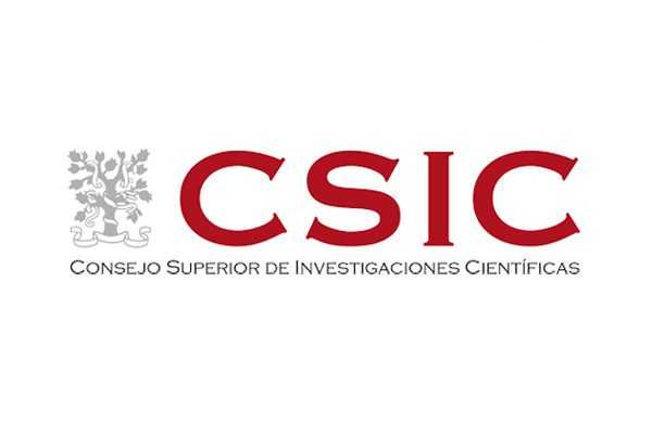 R&I Internationalisation Technician