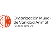 OMSA busca personal para el proyecto `Fortalecimiento de la preparacin nacional frente a amenazas biolgicas`