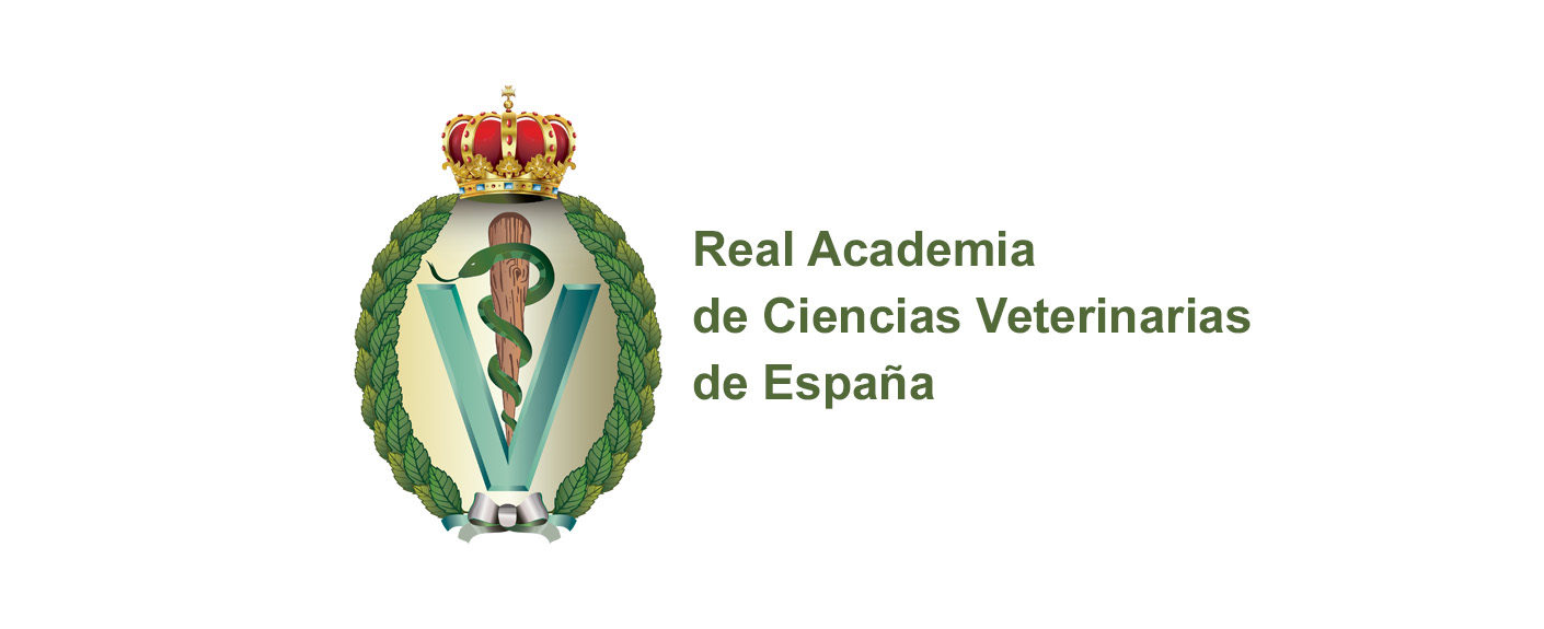 Vacante de Acadmico de Nmero