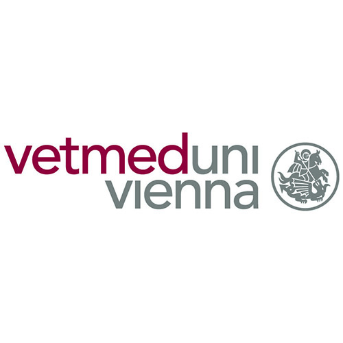 Professor for Small Animal Surgery