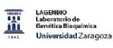 Laboratorio de Gentica Bioqumica (LAGENBIO) - SANIGEN