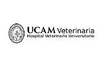 Veterinario Especialista en Animales grandes