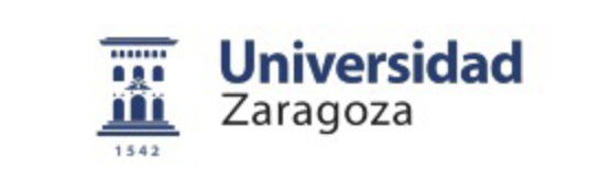 Convocatoria para la contratación de Investigador Novel en la Universidad de Zaragoza