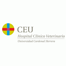 Veterinario/a clínico en Medicina Interna Equina - Equine Internal Medicine