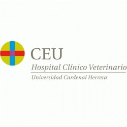 Veterinario/a Especialista en Medicina Interna Equina